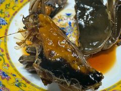 -新光酒家·河豚·海鲜·蟹料理(浦东店)