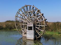-宁波杭州湾国家湿地公园
