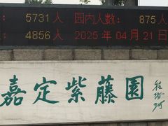 -嘉定紫藤园