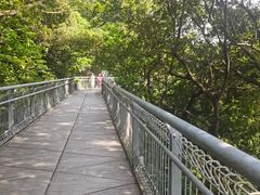 -佛山华盖山公园