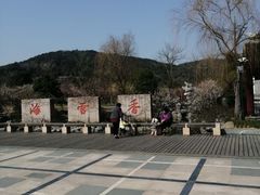 -香雪海