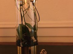 -因特拉肯贝乌里瓦奇大酒店