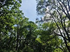 -萨尔浒风景区