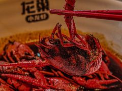 -龙巢盱眙龙虾·牛蛙·烧烤宵夜(八卦岭店)