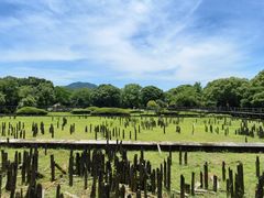 -河姆渡遗址博物馆