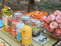 -铁山坪森林公园
