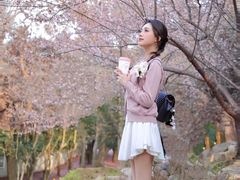 -武汉大学-樱园