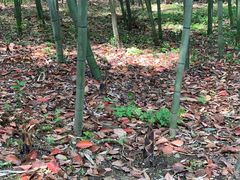 -兰亭风景区