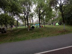 -艾溪湖湿地公园