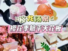 -裕龙汤泉