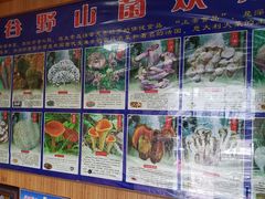 -东巴谷野生菌火锅餐厅