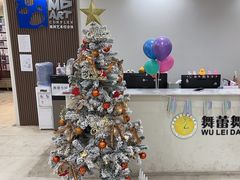 -舞蕾舞蹈(特长生校区)