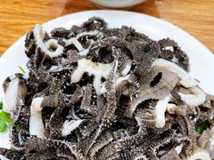 -杨记老门框百年卤煮(回龙观文化西路店)