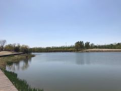 -东郊湿地公园