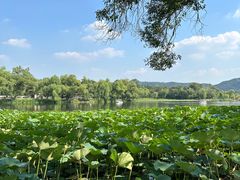 -承德避暑山庄景区