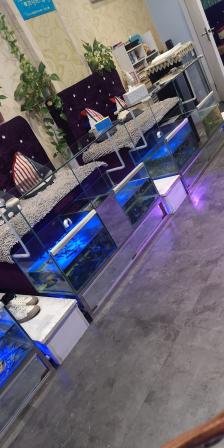 亲亲鱼疗休闲吧-"城隍庙东边二楼上去走两步就是,挺好找小.