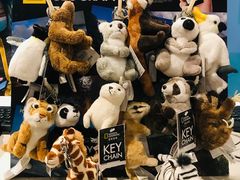 -珠海横琴国家地理探险家中心(创新方)