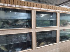 -胖大姐黄辣丁鱼庄(新津店)