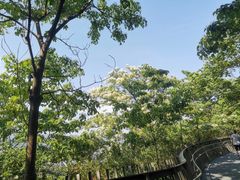 -福道