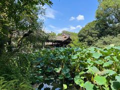 -三苏祠