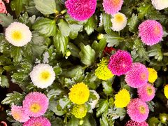 -昆明市金殿名胜区