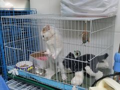 -达爱动物医院·犬猫分区·CT·复杂眼科(远洋山水分院)