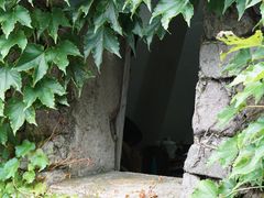 -藏龙百瀑风景区