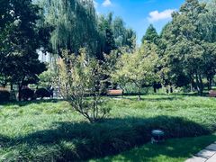 -新虹桥中心花园