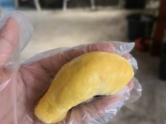 -都念榴莲·城市榴莲