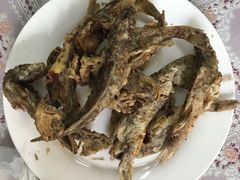 -老陈饭店(黑石支路店)