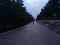 -宝安西湾红树林湿地公园