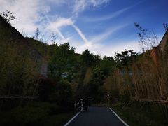 -宁海安岚·南溪阁全日餐厅