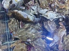 -聚盛源蒸汽海鲜火锅烤肉自助(巨川金海岸购物广场店)