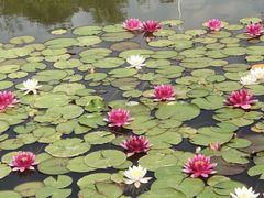 -南普公园