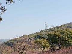 -无锡梅园公园