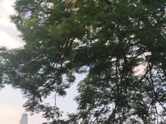 -东山湖公园