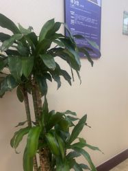 点击看大图 -南京医科大学友谊整形外科医院