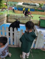 -萌宠亲子动物乐园(槐房万达店)