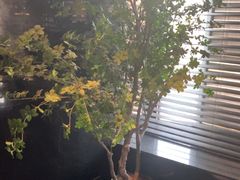 -华夏良子·足道SPA艾灸(金皇大厦店)