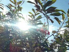 -澳门环岛游湾仔码头