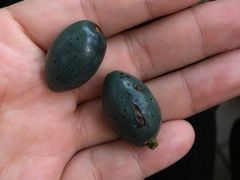 -人民公园(罗湖区)