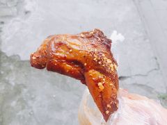 -邓氏兔头