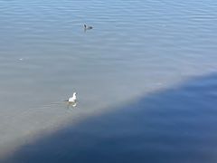 -西昌邛海湿地-月亮湾景区