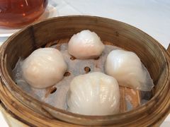 -粤式早茶希朋喜宴