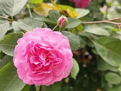 -欢乐迪KTV(南京夫子庙三山街店)