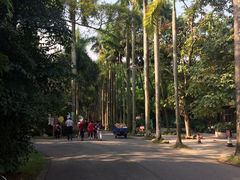 -华南植物园停车场