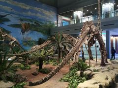 -自贡恐龙博物馆