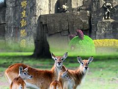 -西安秦岭野生动物园