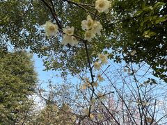 -白塘生态植物园