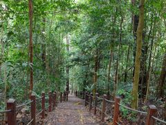 -武吉知马自然保护区